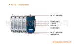 ʿ��˫��Դ�Զ�ת�����أ�XSTE-125��XSTE-250/800/3150