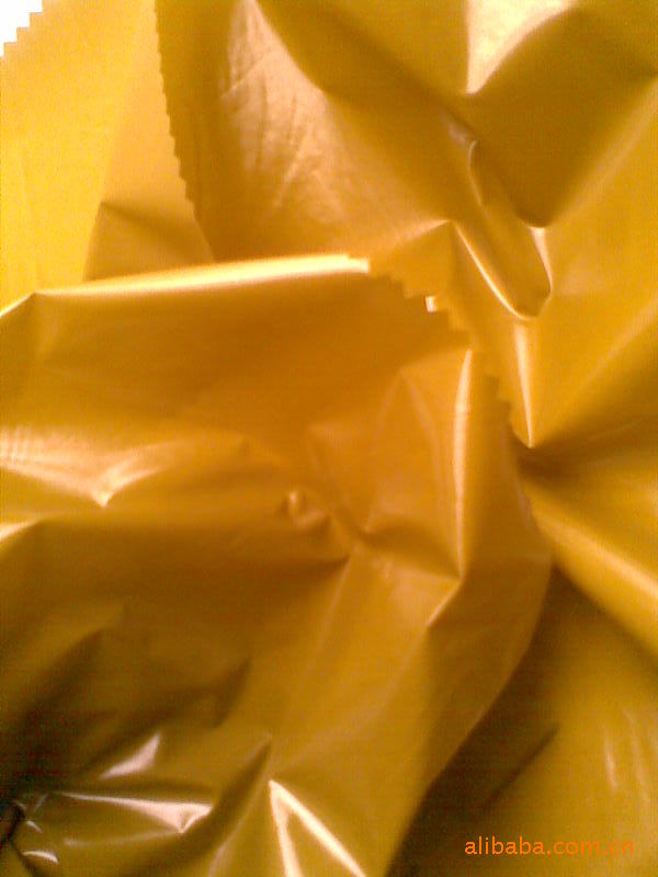 【210尼龙珠光色胶 羽绒服面料 时尚面料 防水尼龙 尼龙涂层】价格,厂家,图片,化纤面料,常州花贝纺纺织品有限公司-马可波罗网