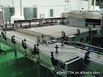 供应饮料输送塑钢链板流水线