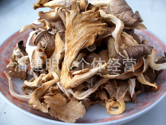 【四川青川特产野生干平菇】价格,厂家,图片,平