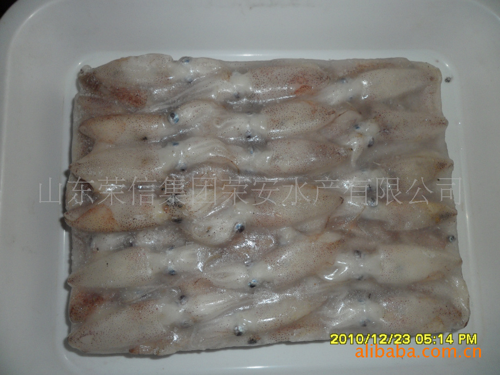 供应天然海扑黄海产野生冷冻水产品毕管鱼