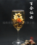 ����ɫ�����̲衿���� ���ղ� �ٺ���ŮSB1304