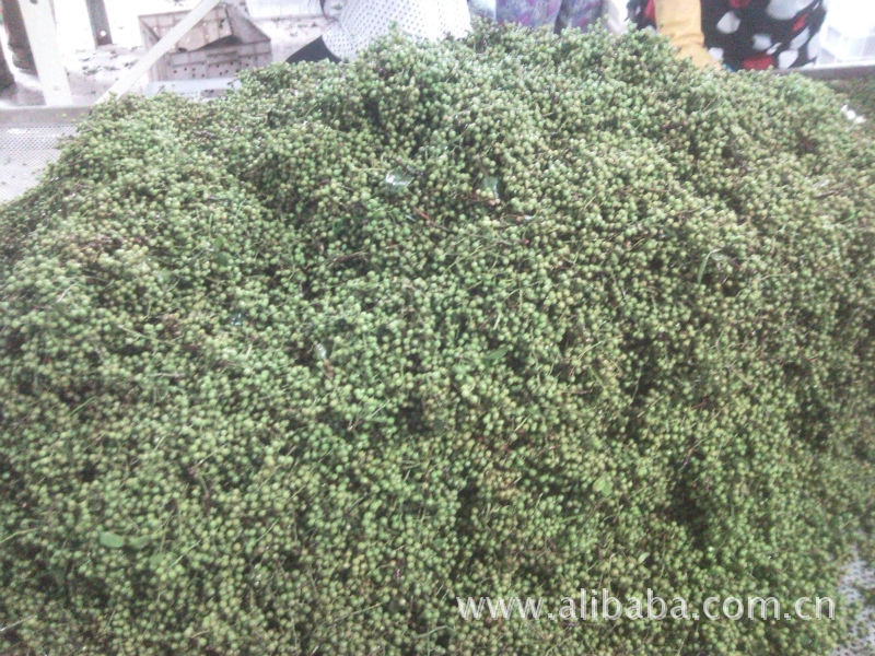 重庆市江津区先锋镇,九叶青花椒,保鲜花椒,干花椒,笋河花椒图片_3