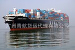 麻榨砂糖橘海运价格