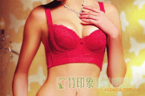 竹纤维<em>文胸</em> 竹纤维健康<em>文胸</em> 免费加盟 免费<em>代理</em>