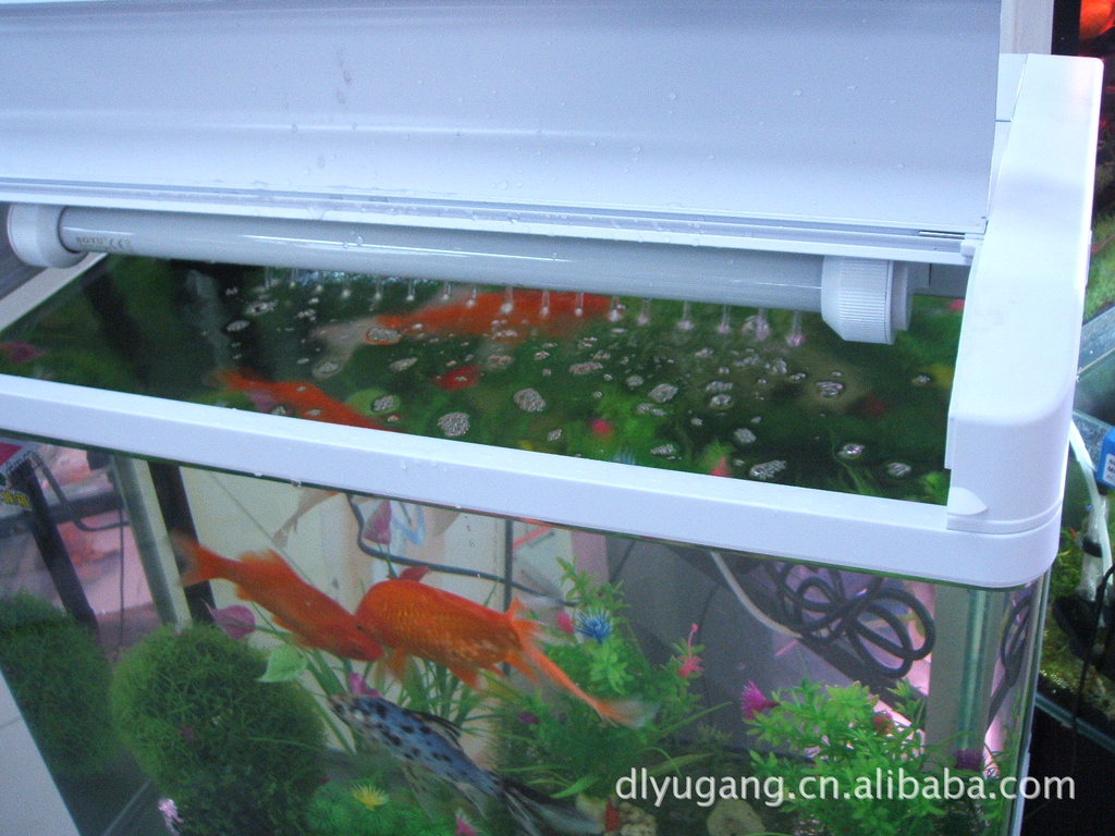 大连鱼缸60厘米600长鱼缸水族箱