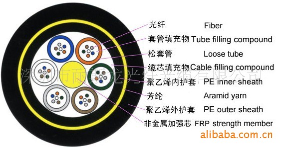 截面图