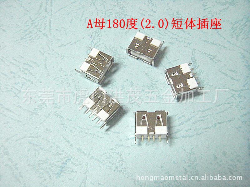 RIMG0031