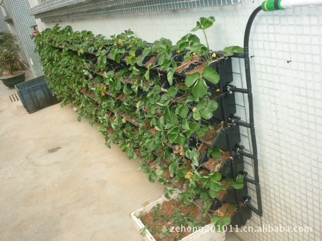 可立体安装,3D防台风花盆,DIY农场,种植盆,真实