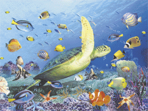 壁纸 海底 海底世界 海洋馆 水族馆 293_220 gif 动态图 动图