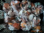 ��Ȼ���ݱ���ԭ�� ������Ʒ100Ԫ����� 200Ԫ 300Ԫ��������Ʒ