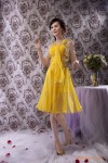 蔡美月品牌小礼服定做 连衣裙 厂家直销 S2810-1