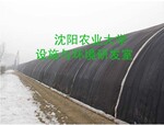����ũҵ��ѧ ���ڹ�Ӧ �չ������� �߲˴��ﱣ�±�