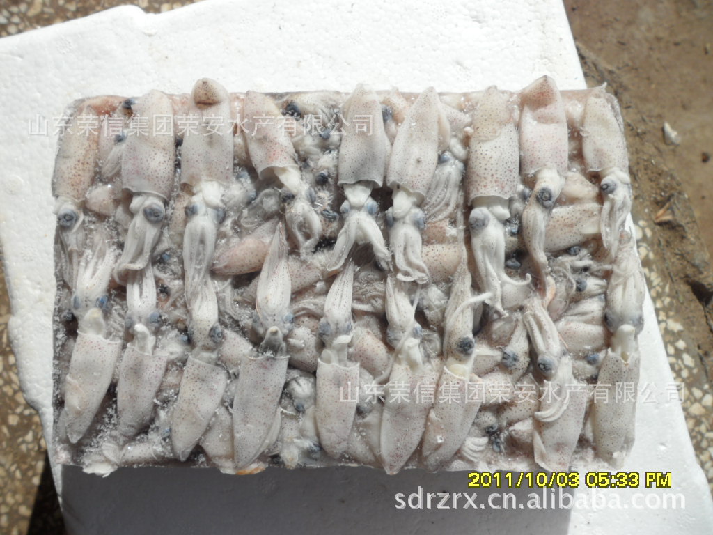 供应黄海产优质冷冻水产品出口级3-5CM比管鱼