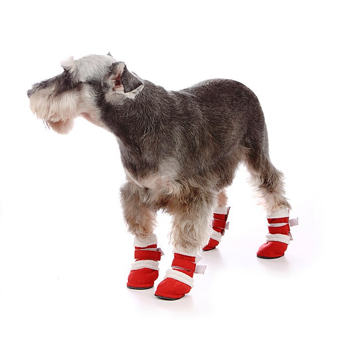 【狗鞋 狗靴 宠物鞋子 日本原版包装运动鞋 含纸盒包装 5个尺寸】价格,厂家,图片,宠物服装服饰,上海广济宠物用品销售有限公司 -马可波罗网