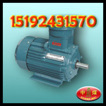 YBS-110���,΢������綯�����Ҷ����õ��