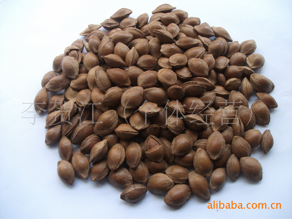 【新疆特产\/新疆干果\/特产小白杏核】价格,厂家