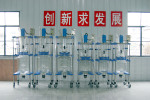 【英峪仪器厂】销售S-212系列变频调速50L双层玻璃反应釜!
