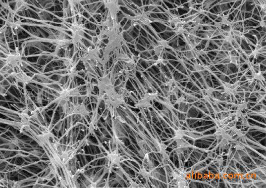 eptfe网状结构