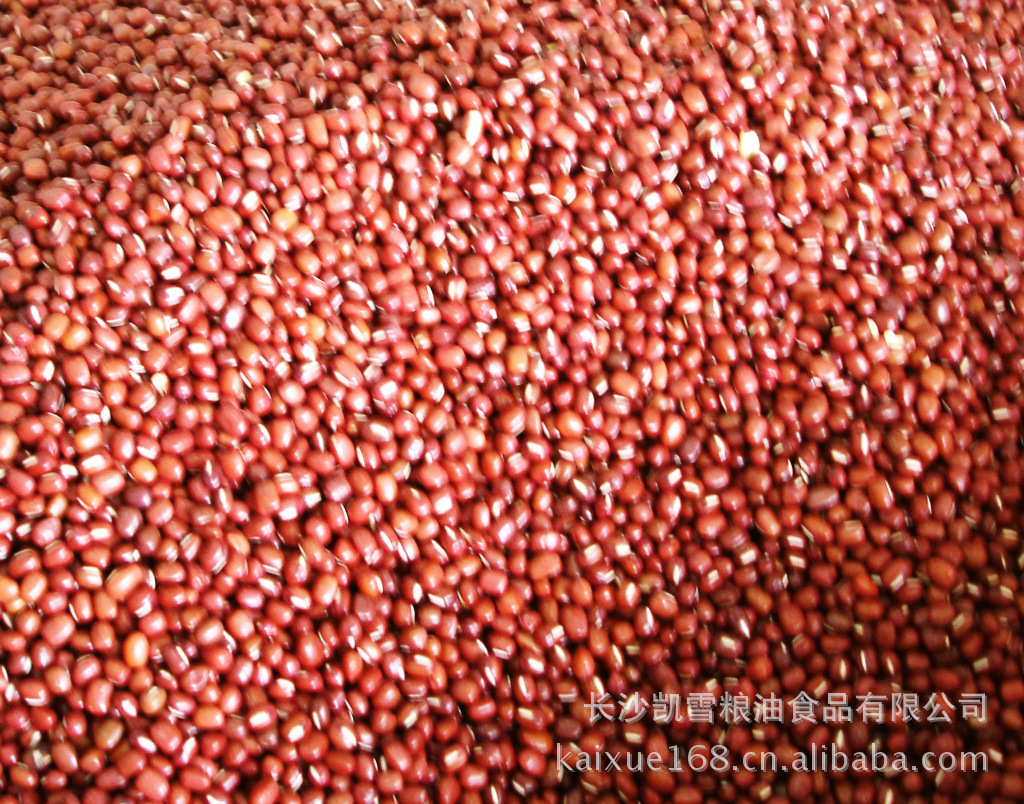 供應廠家直銷凱雪五谷雜糧系列 五谷雜糧系列—紅腰豆