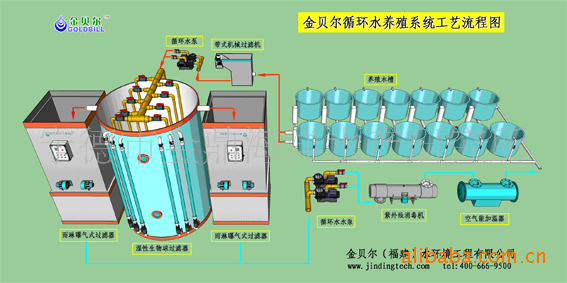 工厂化循环水成套设备,可定制