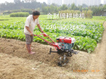 厂家直销6匹全齿轮柴油耕地机 蔬菜大棚耕地机 春耕地机 耙地机