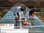 【夹胶玻璃雨棚】抗12级台风,环保氟碳漆25年不生锈