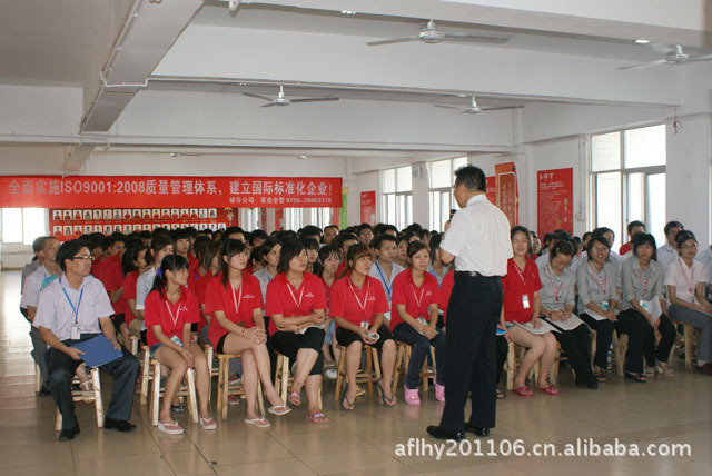 全面实施iso9001:2008质量管理体系,建立国际