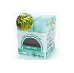 负离子一代植栽迎风草(ECOEY)防辐射 桌面迷你小植物 艺园用品