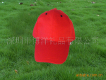 专业供应太阳帽,(广告帽,欢迎来电咨询)