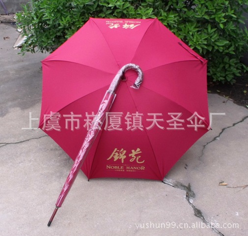 DSCF8094