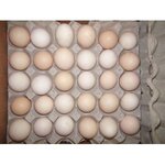 ���ҳ��ڴ�����Ӧ������