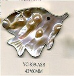 ��Ȼ���鱴 ��̡��Ʊ߽�/��