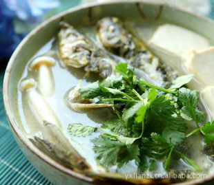 鱼类-江苏淮安市金湖县四大家鱼上市鱼和各类