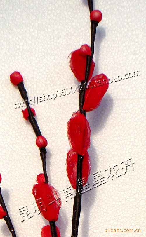 云南干花 叶脉干花 梅花蕾 配花一般都需要 (量