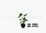 ���깩Ӧ����ϵ��&mdash;&mdash;��������
