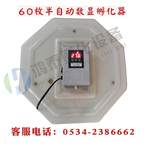 孵蛋器 60枚小鸡可调节家用微型孵化器(温度数字显示型)