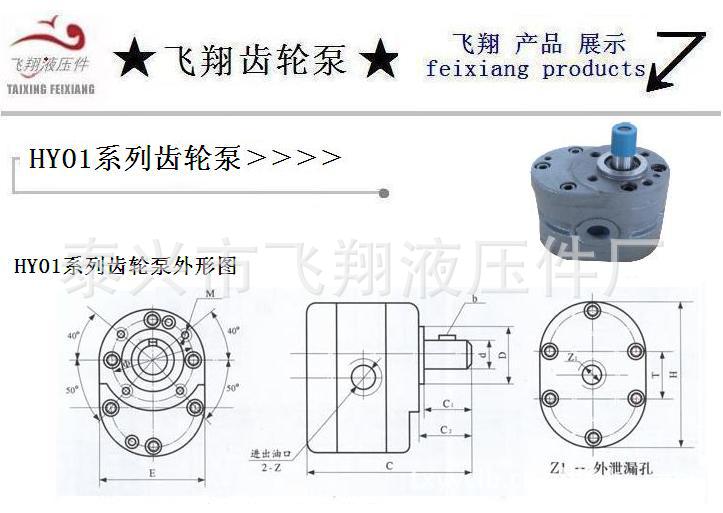 泵与阀门 泵 厂家生产y油泵hy01-18x25     hy01-3x5齿轮泵安装