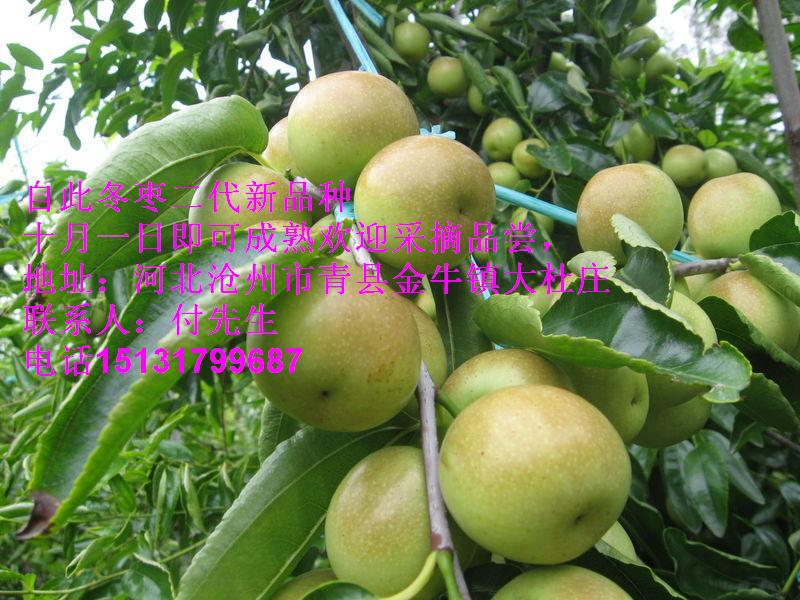 ֦/֦/