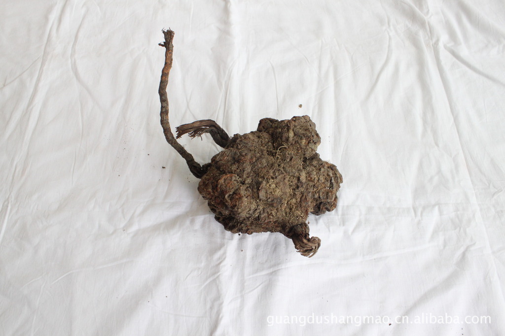 【用于瘰疠疮痈,风疹瘙痒的何首乌】价格,厂家