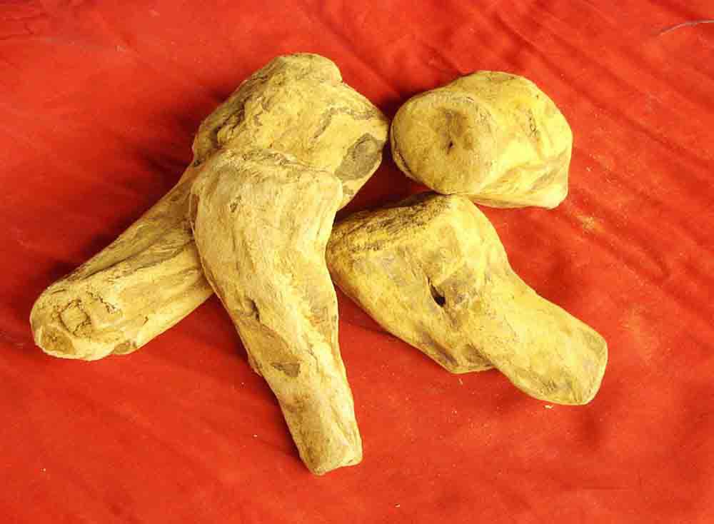 植物提取物-大黄酚98% chrysophanic acid 供应