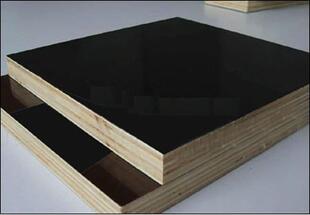 全国招商木板材 供应黑色建筑模板（质量保证.价格实惠）
