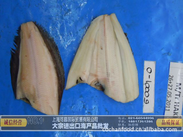 冷冻粗加工水产品-冰冻海鱼 格陵兰比目鱼 加拿