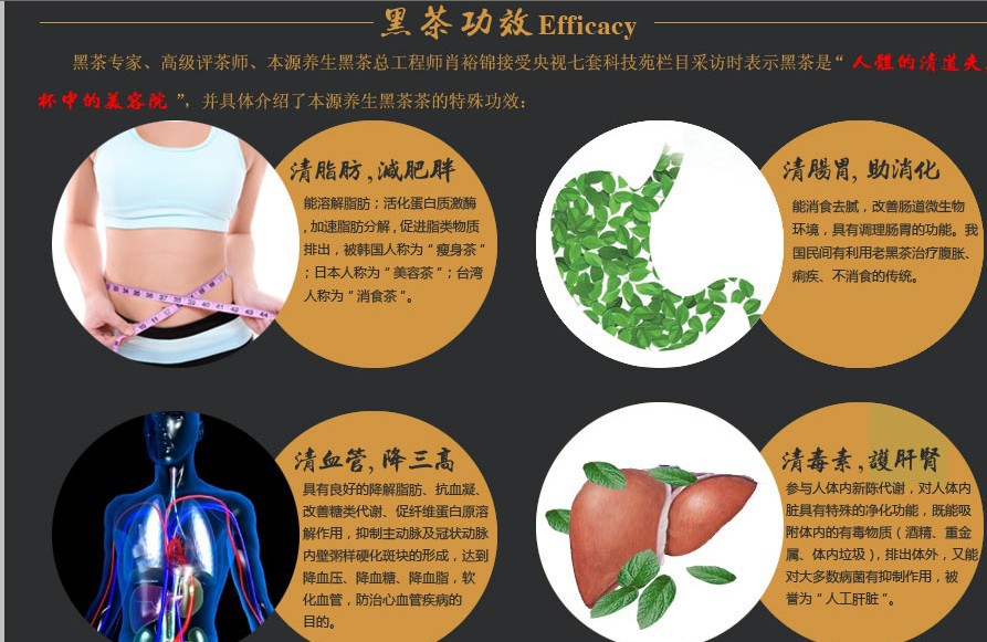 黑茶功效WHLF6
