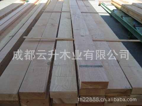 供應馬尾松。落葉松。青松。原木，烘干板，