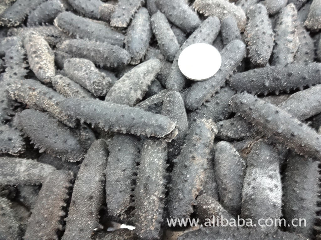 【关西辽参 海参辽参 60头】价格,厂家,图片,干