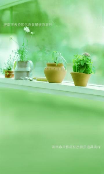 【百天宝宝拍照背景儿童主题背景影楼摄影背景