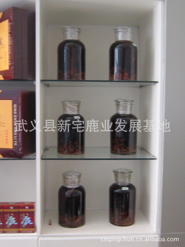 【鹿茸酒 药酒 名贵中药材泡制 十斤装 抗衰老 