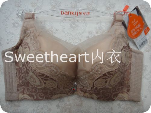 <em>黛安琪</em>内衣<em>文胸</em>批发 2012秋冬新款 立体厚杯性
