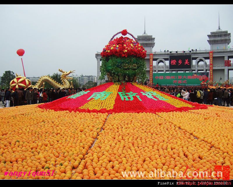 第四届赣州国际脐橙节开幕 杨洪基等明星在晚